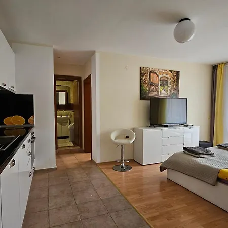 Apartment 2 Zimmer Slantschew brjag
